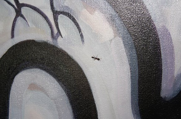 [ant+on+oak.jpg]