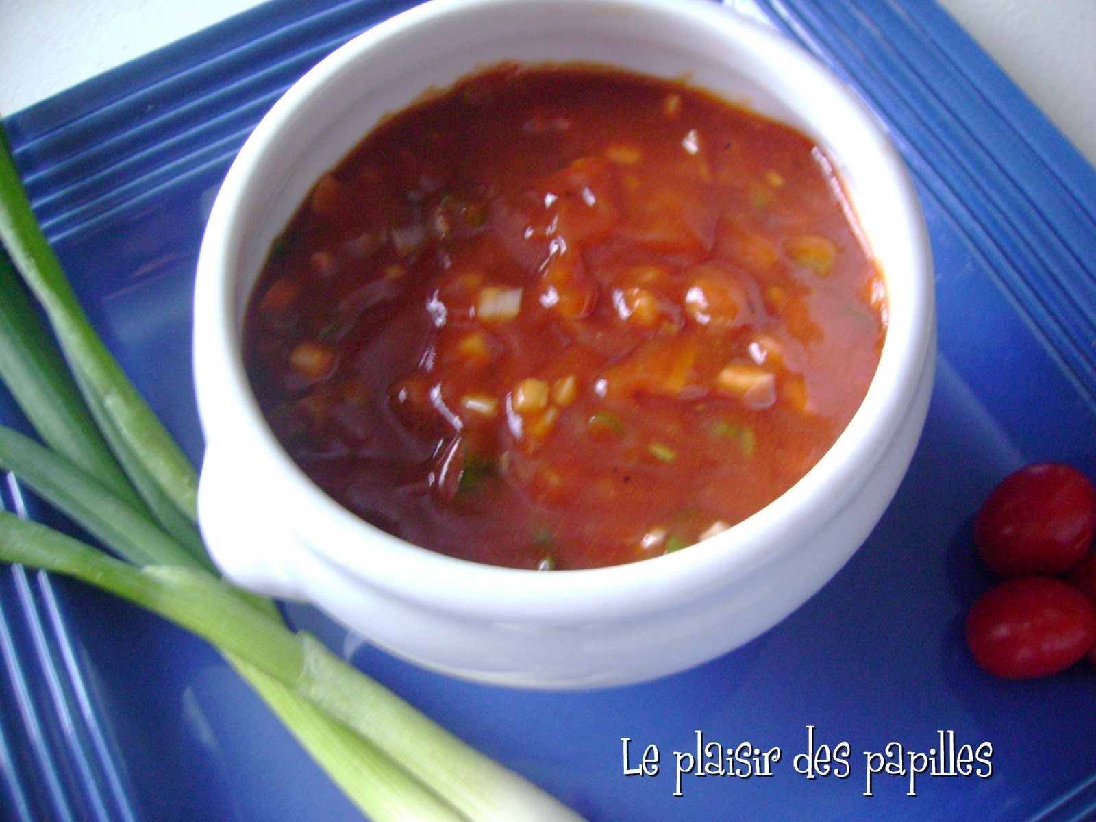 Le plaisir des papilles Fondue Chinoise