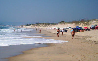 https://1.bp.blogspot.com/_j6Aa_XfQLoU/Sl8jsrcZl4I/AAAAAAAAA0k/MSlguA_o0cg/s400/praia+rio+alto.jpg