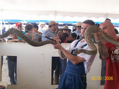 Kathie's Kabin: Rattlesnake Roundup in Freer, Texas