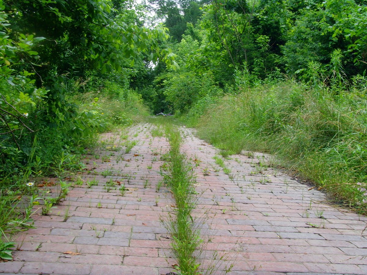 SWPA Rural Exploration Old Nemacolin Ferry. Nemacolin, PA, Greene County