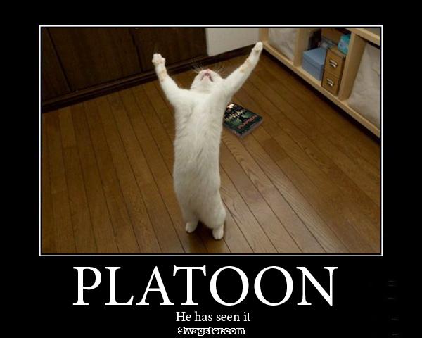 [Platoon.jpg]
