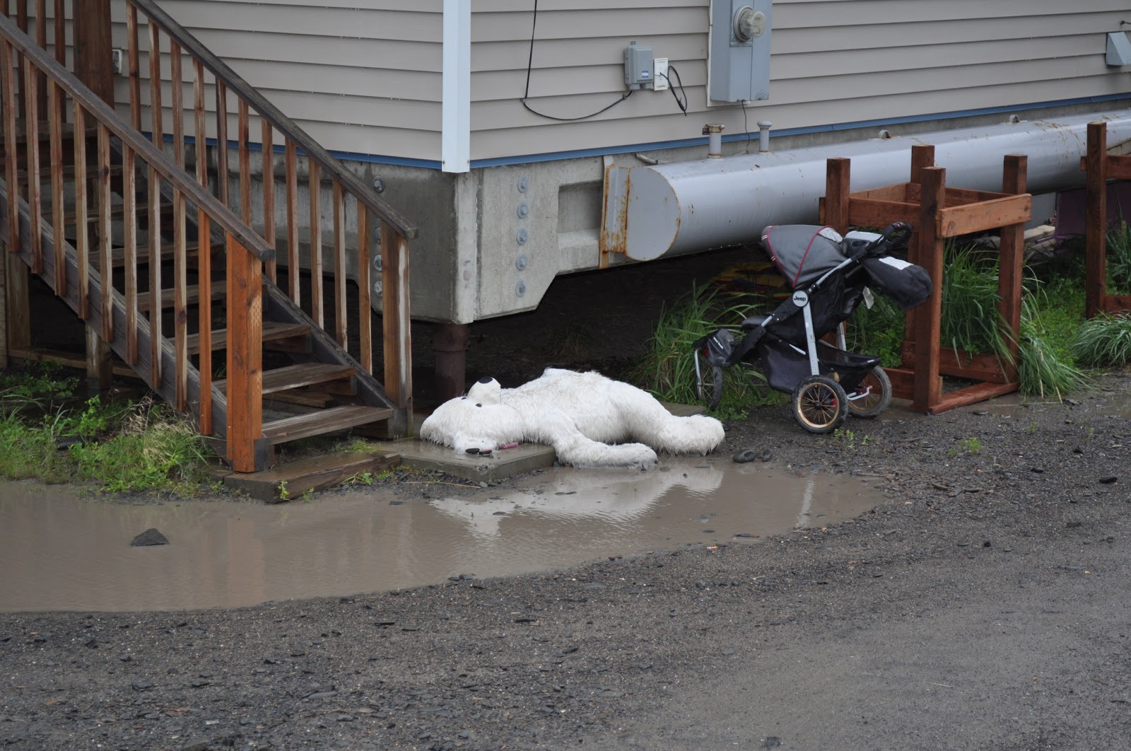 ¶ snow & mist the first polar bear sighting in Unalakleet