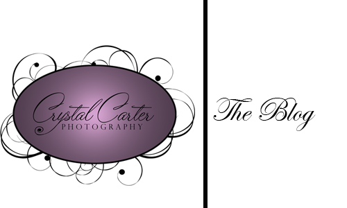 Crystal Carter Photography - The Blog