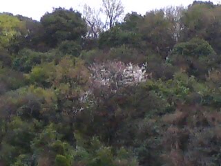 [20100309093308-725127.jpg]