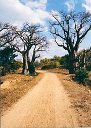 Road