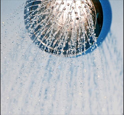 Fresh Look at Green Eco Living Switching To An Eco Shower Head Are