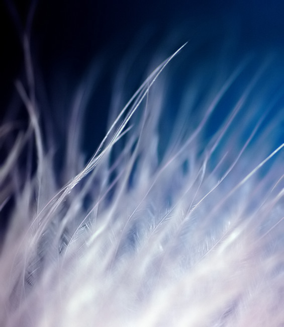 [Abstract_Blue_Abstract+Art+or+Abstract+photography.jpg]