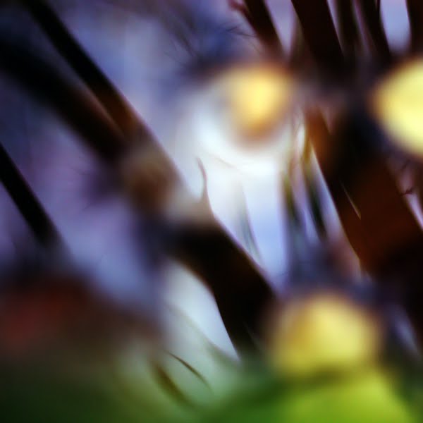 [Abstract+Photography-abstract+backgrounds-abstract+art.jpg]
