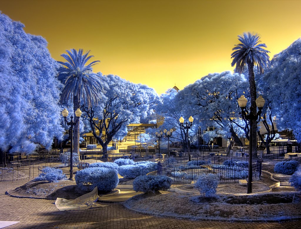 [Getting-Started-with-Infrared-Photography.jpg]
