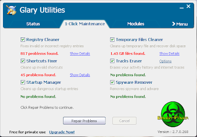 Glary Utilities Problems Found