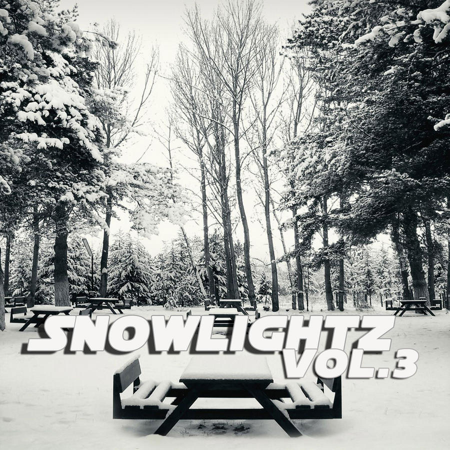 [00-va--snowlightz_vol.3-(pq175)-web-2009-shelter.jpg]