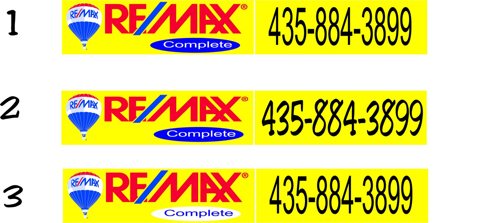 Vinyl On The Go REMAX