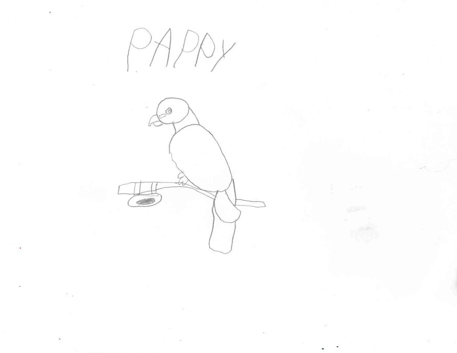[parrot.jpg]
