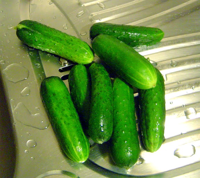 Mission Vegan in Berlin A German Must Cucumber Pickles!