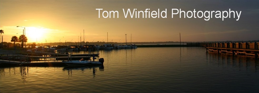Tom Winfield Photography