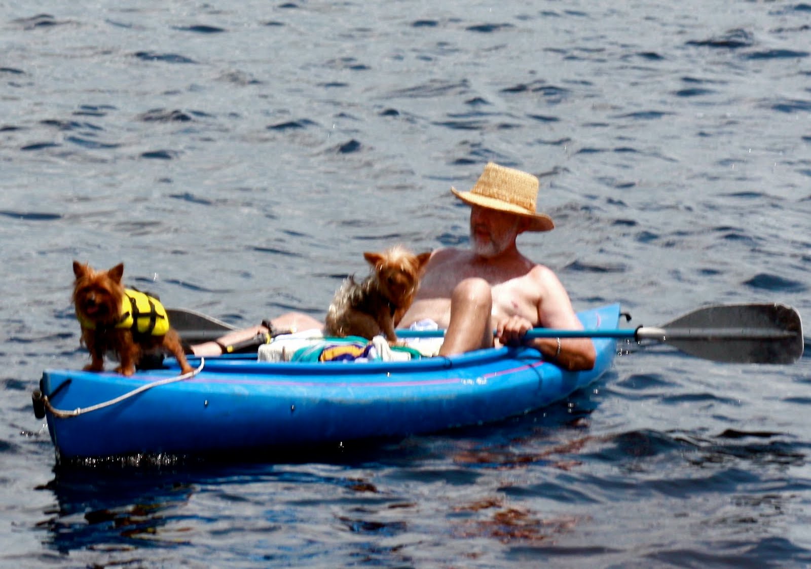 Punta Gorda Florida Daily Photo 2009