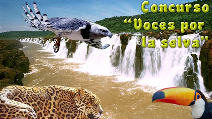 Concurso "Voces por la Selva"