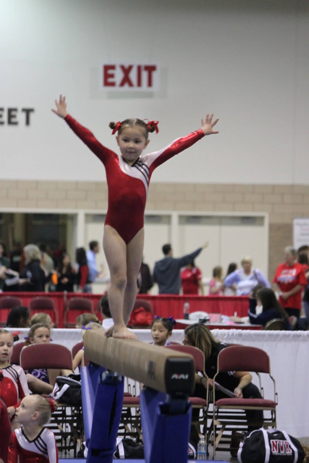 ...and 3 makes 5 Metroplex Gymnastics Meet