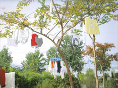 [Stomps+Mist+04792.jpg]