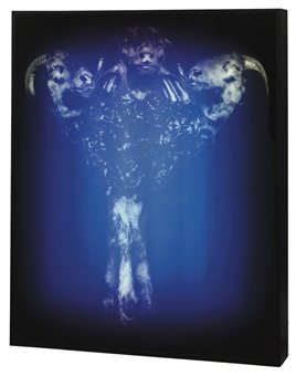 [Christie+d5143255l.jpg]