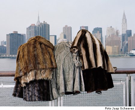 [Jaap+Scheeren+NY.jpg]