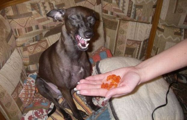 [knuttz_ueba_03.jpg]