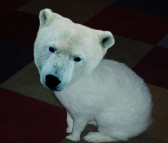 [punky-sticking-out-tongue.JPG]