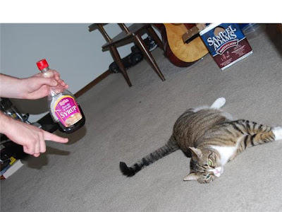 PROTEST THE MAGDALENE