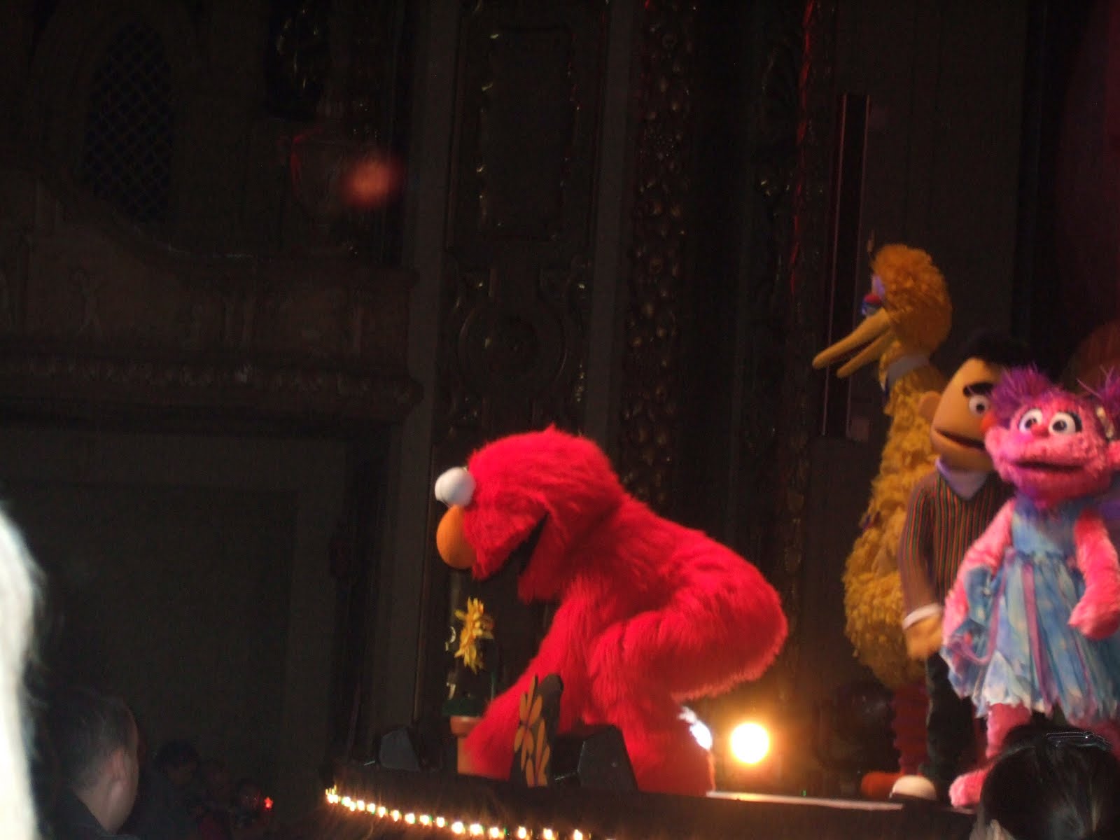 Shane's World: Elmo & other cold weather adventures!