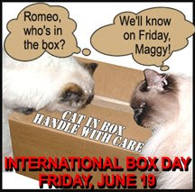 International Box Day