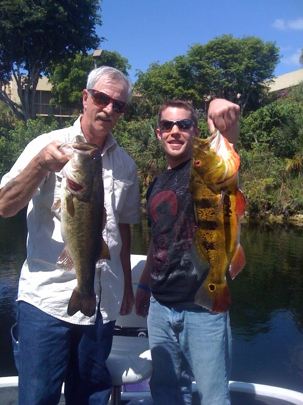 Peacock Bass Fishing Miami Butterfly Peacock Bass in Florida!