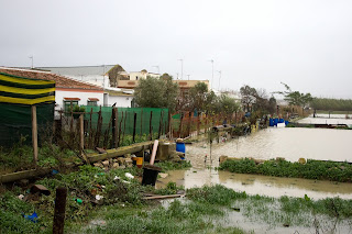Viviendas inundadas en El Portal