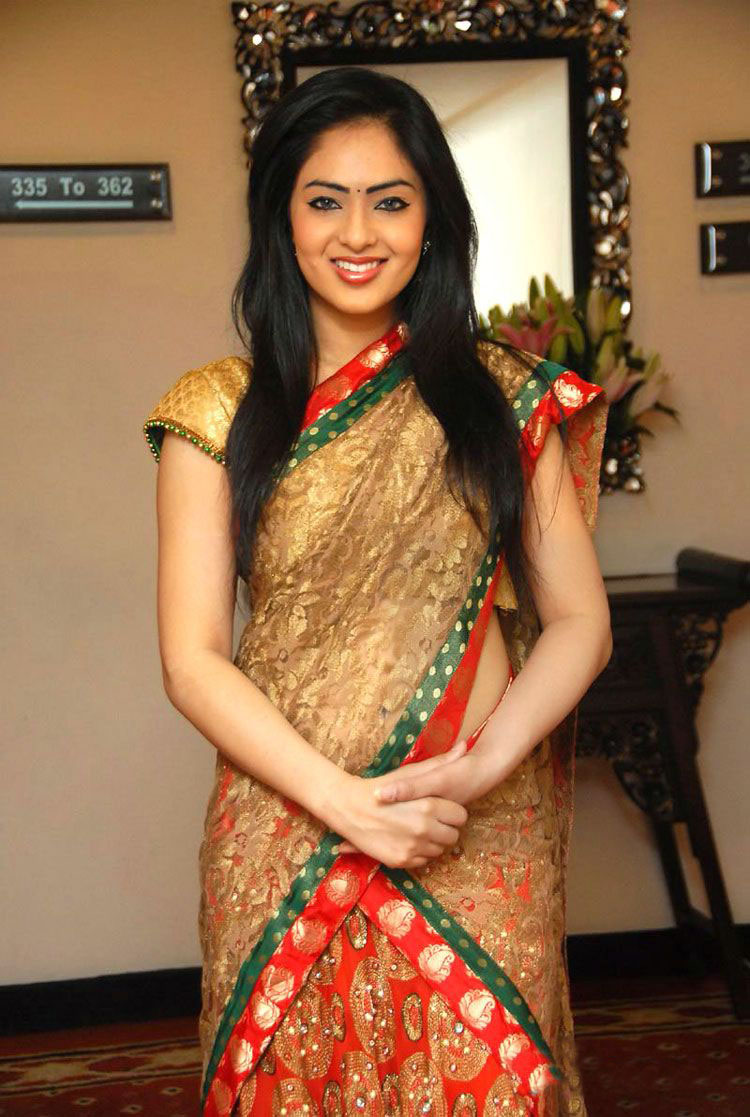 Telugu Actress Nikisha Patel Biography and Photo Gallery ~ Top Celebrities