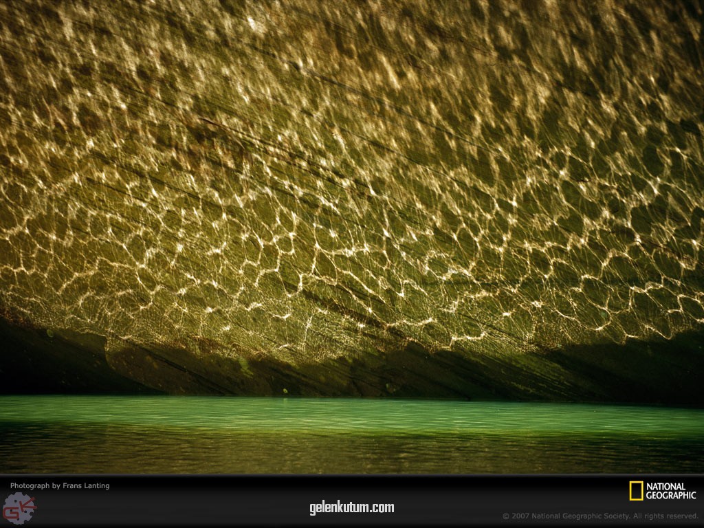 [water-light-patterns-1049425-lw.jpg]