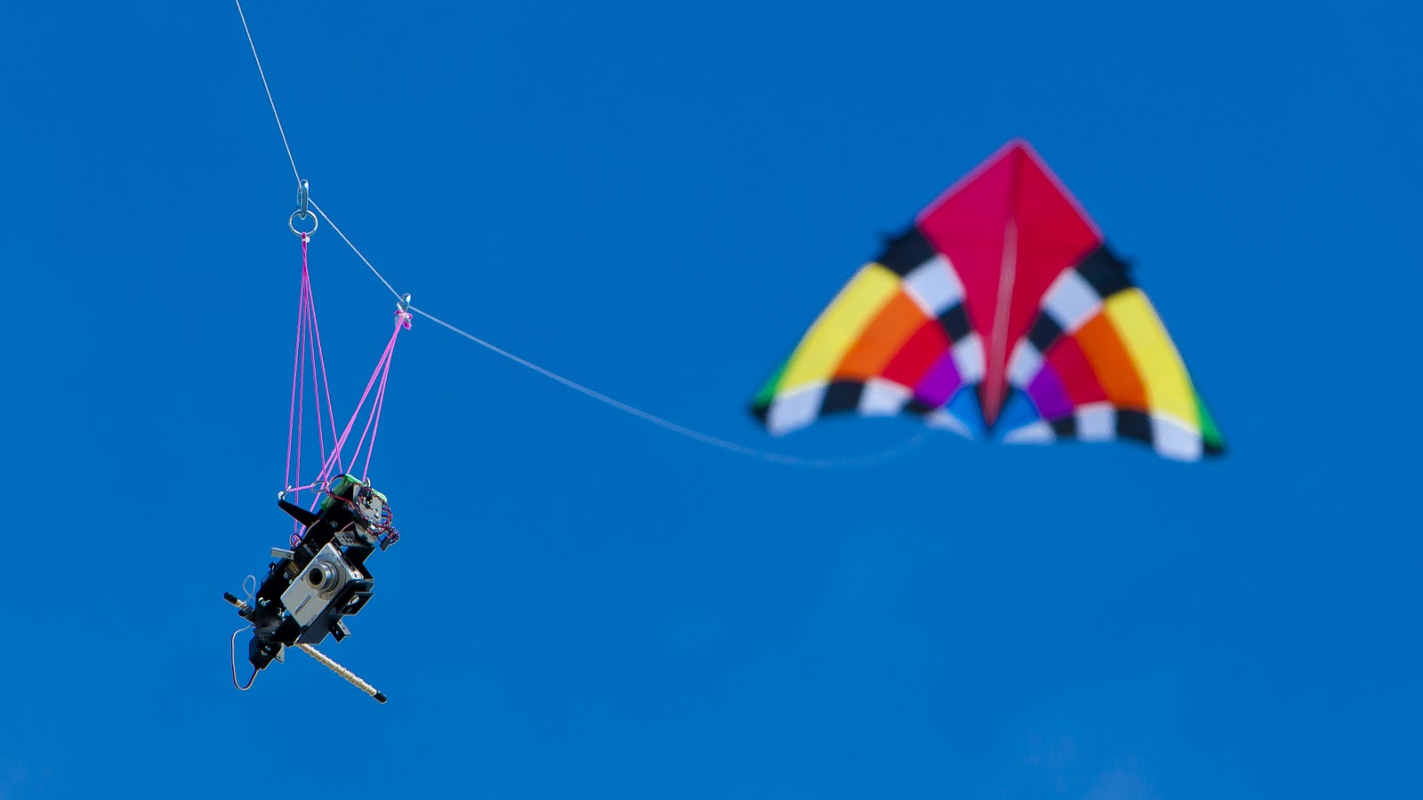 CCM Photography Go fly a kite!