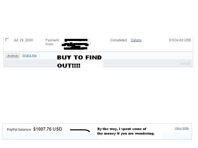 Screenie of Payment