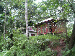 JELI HOT SPRINGS