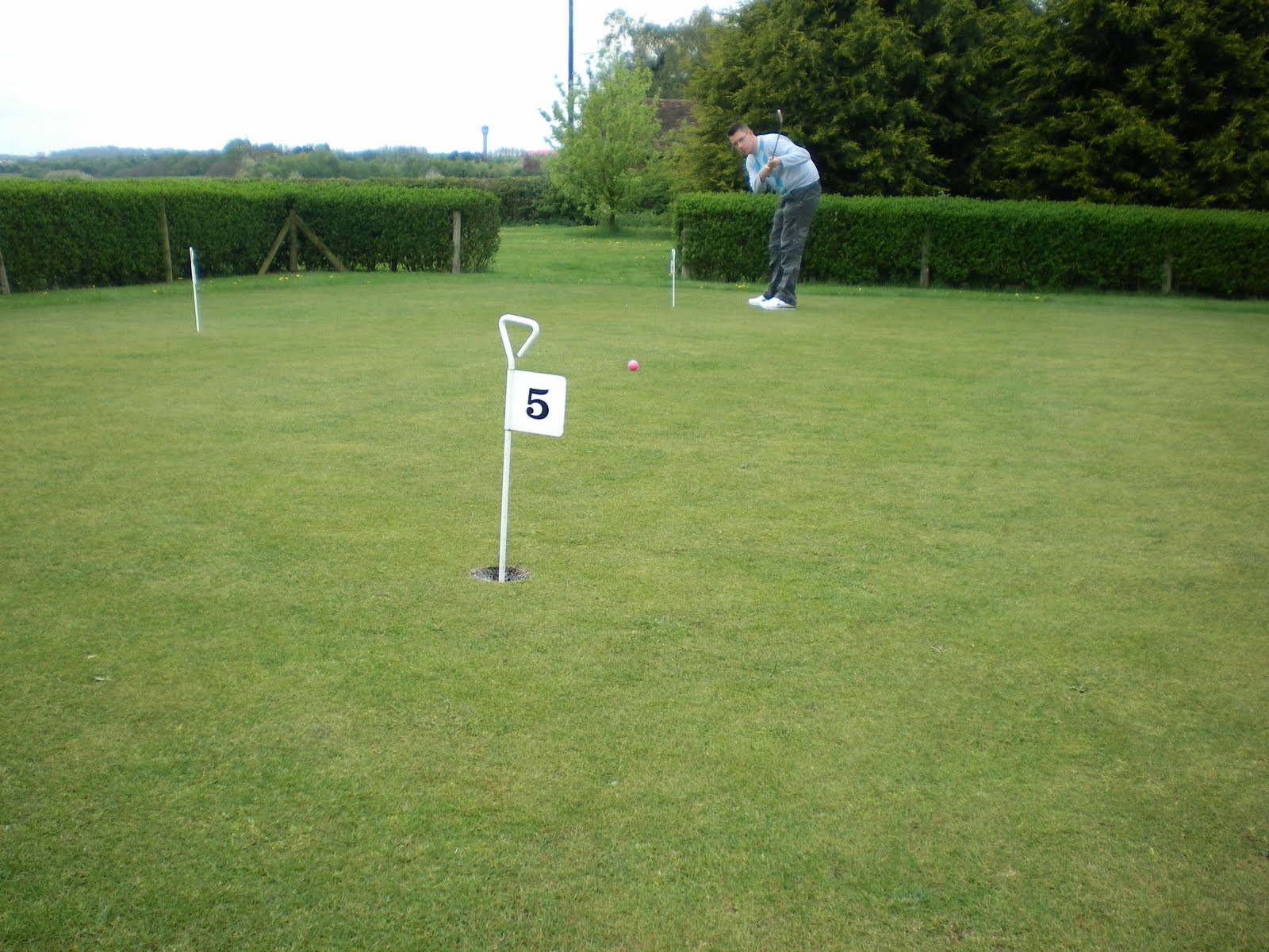 The Ham and Egger Files Minigolf & Putting Green Practice at Tea Green