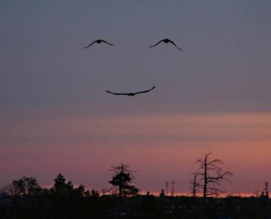 [smile.jpg]