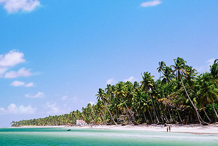 Praia dos Carneiros Tamandaré Pernambuco