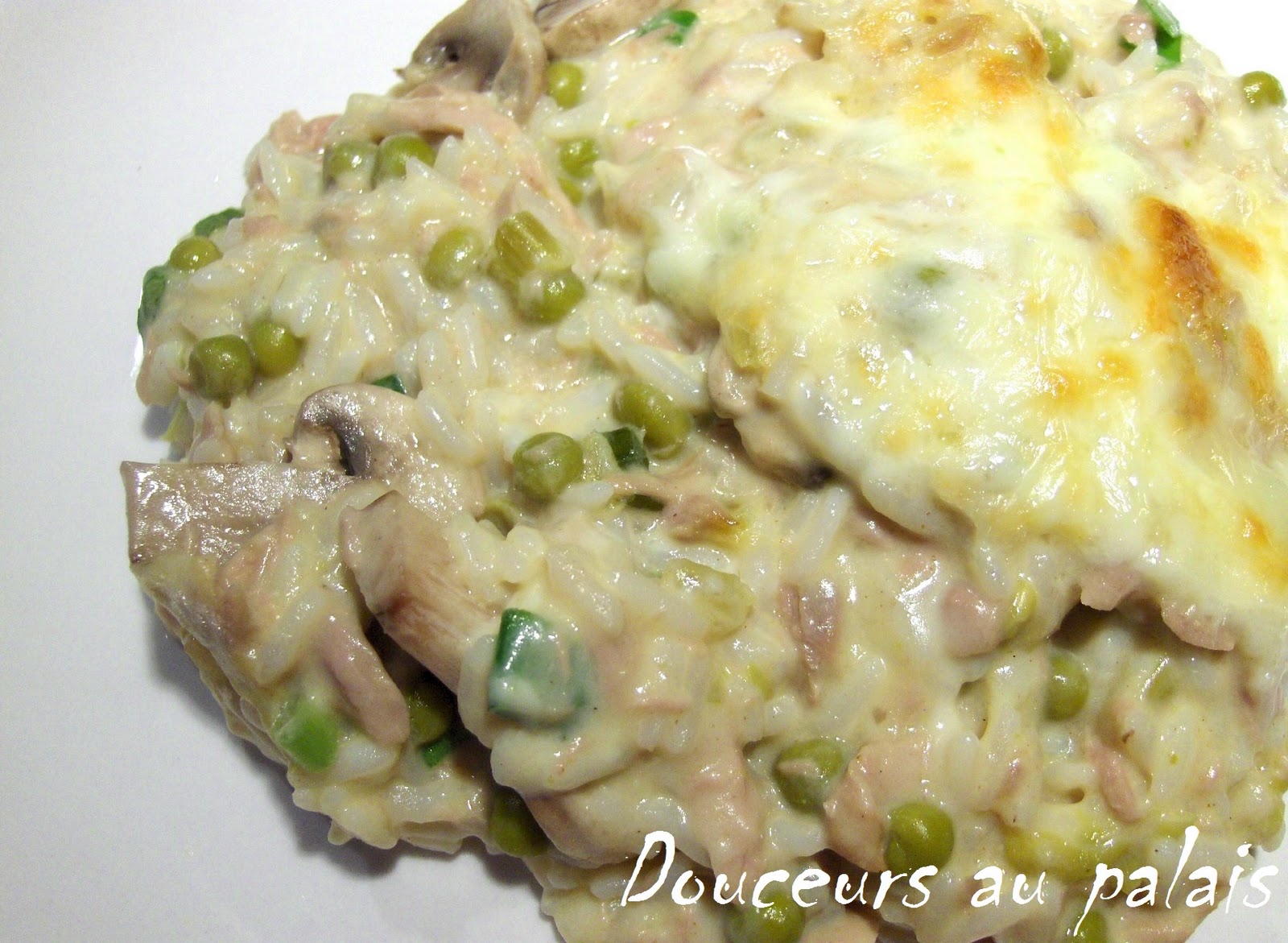 Casserole de riz au thon gratiné............... Bonne année 2011 à tous )