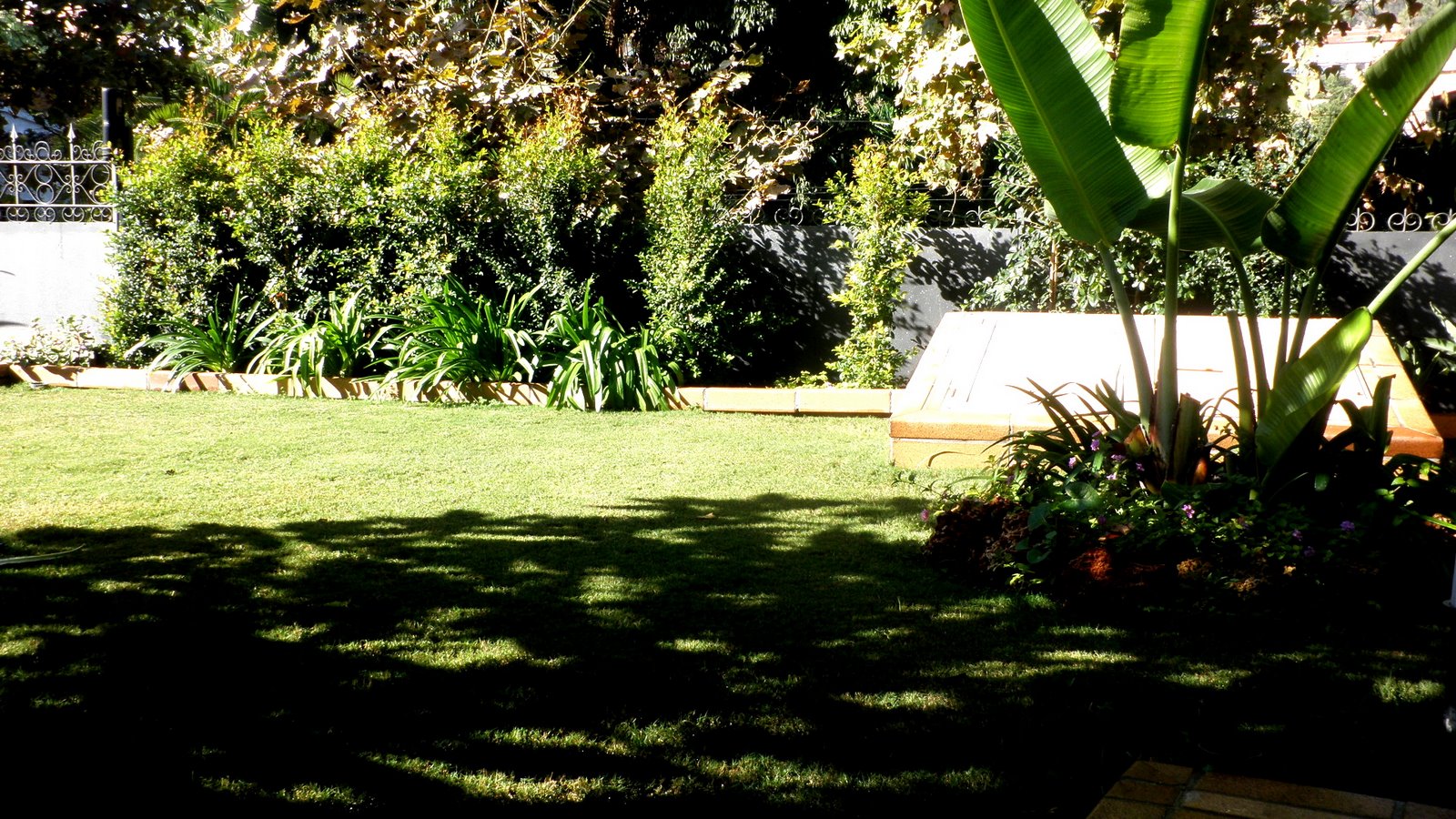 jardinbio: Césped de tepes, trabajos de otoño-invierno