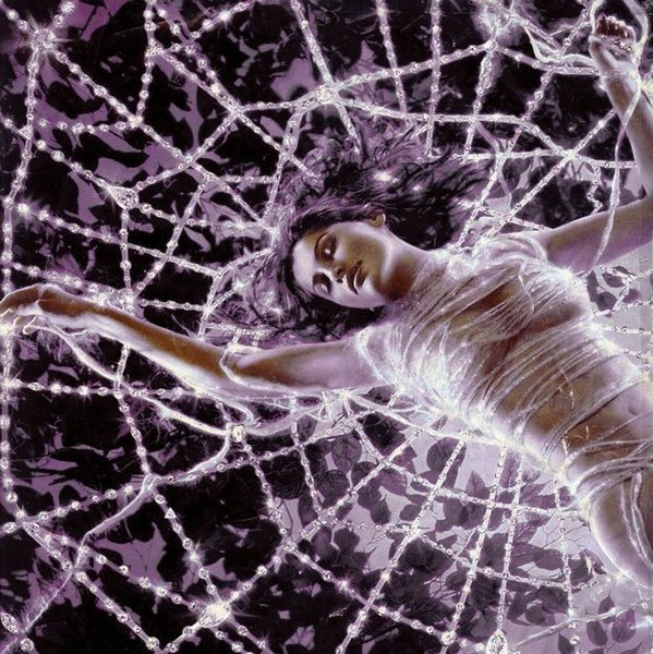 [remoteImage-54.jpg]