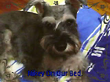Nikey Boy