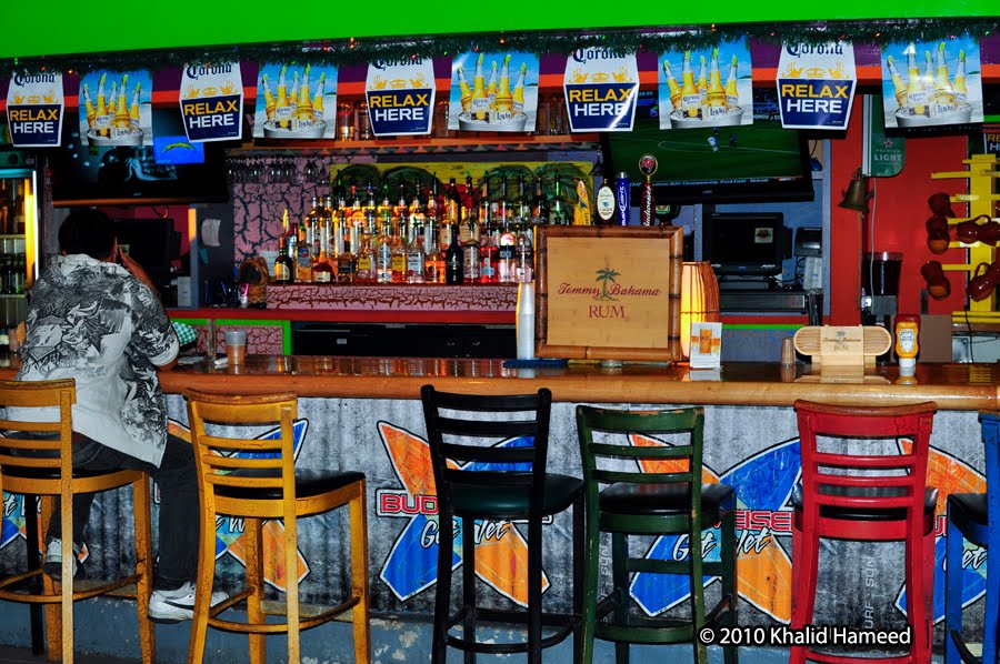 Scallywag Journeys Tampa Bay and Beyond Cha Cha Coconuts at the Pier