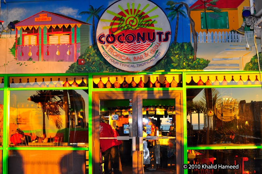 Scallywag Journeys Tampa Bay and Beyond Cha Cha Coconuts at the Pier