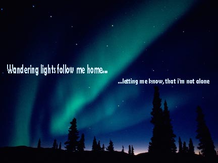 wandering lights