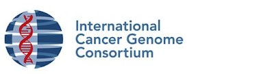 International Cancer Genoma Consortium