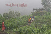 Niñas de Puerto las Ollas caminan entre la niebla - Foto: JAVIER VERDIN